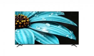 Sharp 55" 4K UHD Google TV [4TC55FJ1X]